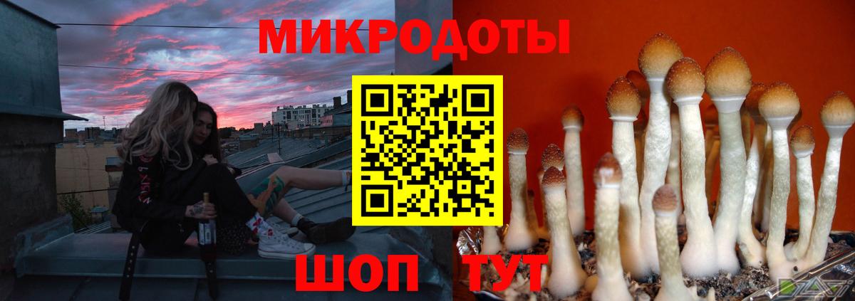 Псилоцибиновые грибы мухоморы Кимры